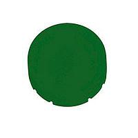 Eaton M22-XDLH-G-ETCH Button Lens EXTD GRN ETCHED BUTTON FOR ILL PB