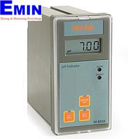 HANNA HI8510 Panel Mounted pH Analog Indicator with Self-diagnostic test (0.00~14.00 pH/0.01 pH )