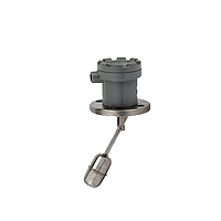 DHS DH-100F Horizontal Type Level Sensor (2~3 wire)