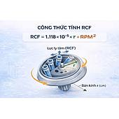 How to Convert RPM to RCF? Formulas and Easy-to-Understand Examples