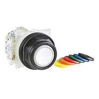 SCHNEIDER 9001SKR1UH5 With Guard PSH BTTN 600VAC 10A 30MM SK