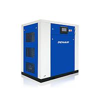 Denair DWW-44 Oil-free Scroll Air Compressor (4.69 / 4.29 m³/min; 60hp)