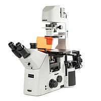 Euromex DI.3053-PLPHFi/HAL Trinocular Delphi-X Inverso inverted microscope (HWF 10x/25 mm, 10x/20x/S40x)