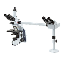 Meiji Techno MT-61/TH-2SS Dual Head Side-to-Side Trinocular Biological Upright Brightfield Compound Teaching Microscope (4X, 10X, 40X, 100X oil)
