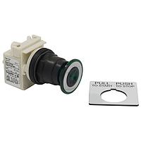 Square D 9001SKR8P1G Pushbutton Switches PSH BTTN 120VAC 30MM SK