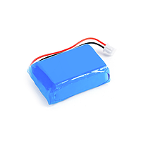 KERN YKR-01 Rechargeable Battery Pack Internal for 572 Model