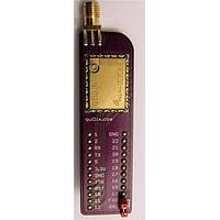 Low Power Radio Solutions (LPRS) eRIC4-BOB Breakout Boards UK/Euro BoB 433MHz 12x2 DIL 67x20x5mm