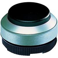 RAFI 1.30.250.321/0500 Keylock Switches SW RAF22FS PB NO ILL MET GRN