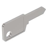 EAO 31-989.311 Key SPARE KEY-STD D LCKS