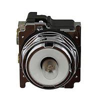 Eaton 10250T204NC1N Standard IND LGT 12V FV R PLST LENS