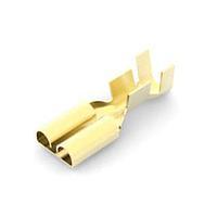 AMP Connectors - TE Connectivity 170089-1 Tab .250 FF