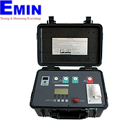 Zhiwei ZW1516-500V Insulation Resistance Tester (500V)
