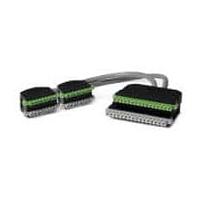 PHOENIX CONTACT 2906884 Interface Cable CAB-MSTB32/2XMC9/ 22/ 1,0M/C3/S