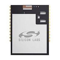 Silicon Labs MGM12P32F1024GA-v4 Wireless Mesh Modules Mighty Gecko ARM Cortex-M4 1024 kB flash, 256 kB RAM module