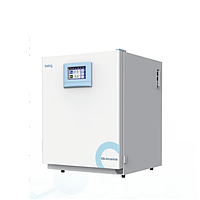 Bluepard BPN-240RHP Air Jacket CO2 Incubator (233L)
