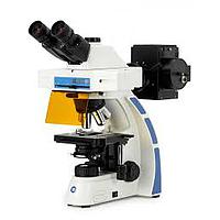 Euromex OX.3235/560 Trinocular Oxion microscope for fluorescence (HWF 10x/22 mm, 4/10/S40/S100x, 560 nm FluoLED)