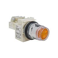 Square D 9001K1L38LRR With Guard PSH BTTN OPRATR 30MM TYPE K