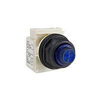 Square D 9001SKP38L31 Indicators PILOTLIGHT 120V 30MM SK