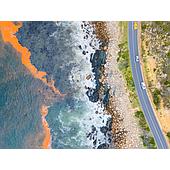 Harmful Effects of Microalgae and Harmful Algal Blooms (Red Tides) on Water Sources