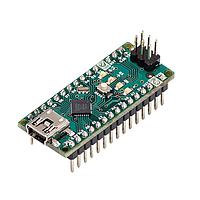 Development Boards & Kits