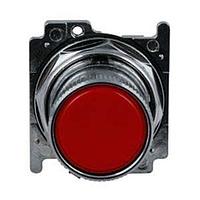 Eaton 10250T2524 Flush ROTO-PUSH 2P FLUSH R C4