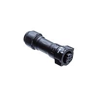 Amphenol LTW BD-03BFFA-QL8LP0 Standard Circular Connector X-Lok, Standard Size, Plastic, 5A, 03 pins, Female Connector, Female Contact, Straight, Push Lock, Crimp, Field Installable, F8.0 - F10.0mm, IP68