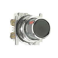 Eaton 10250T24111-2 Roto-Push ROTO-PUSH 2P FLUSH BK 2NO
