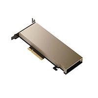 Advantech SKY-TESL-A2-16P Video Modules Tesla A2 16GB PCIe SSLP w/ATX BKT