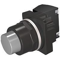 SIEMENS 52BM8B6H Pushbutton PUSHBUTTON,MOM,GRAY,EXTENDED,2POS,1BAH