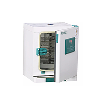 Incubator