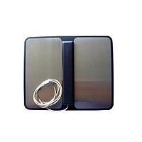 KLEINWACHTER WST 100 SE Shoe electrode (60V/1A)