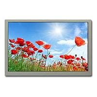 Display Development Tools