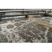 Microorganisms in Wastewater Treatment Plants Die: Causes and Solutions for Complete Remediation