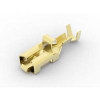 AMP Connectors - TE Connectivity 170233-1 Receptacle RCPT 20-14 AWG