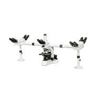 HINOTEK N-204F Multi-viewing Microscope (4X,10X, 40X, 100X)