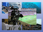 High-resolution video content used for 8K testing and evaluation