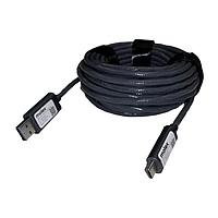 Molex 106413-4405 USB 3.1 Gen 2 USB 3.1 AOC TypeA to TypeC Cable M-M 5m