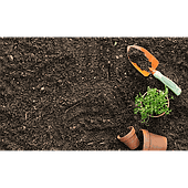 Factors affecting the electrical conductivity (EC) in soil