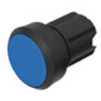 EAO 45-2134.1160.000 Switch Actuators Plastic 2Pos BLU Maint
