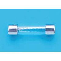 Bel Fuse 3SB 6-R Glass Fuses