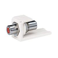 Panduit CMRPRIG Pass Through Module Coupler Mod RCA Pass-Through Red In