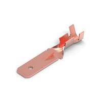 AMP Connectors - TE Connectivity 160457-1 Terminals FF 250 TAB 18-14AWG PB