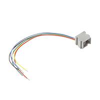 Hirose Electric TM1RV-623K66-4S-150M Connectors