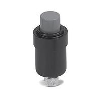 OTTO P1-10047 Momentary 10A 28VDC