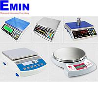 Precision Scale Repair Service