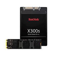 SanDisk SDSDAF4-256G-I SD Cards WD/SD