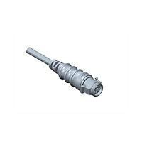Amphenol LTW CB-02AMFM-RL8D05 Sensor Cables / Actuator Cables RBL, Middle Size, Plastic, 10A, 02 pins, Male Connector, Female Contact, Straight, Push Lock With Latch, Overmolded, Length 5000mm, IP68