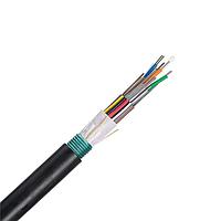Panduit FOWNZ06 Multimode 50um OM4 6 Fiber Outside Plant Armored (