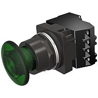 SIEMENS 52BP2DSA Push-Pull PP2,NEMA4X,MTD,FV 24V,FULL ILL GRN,NO-NC