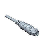 Amphenol LTW DD-10AMFM-RL8D03 Sensor Cables / Actuator Cables RBL, Large Size, Plastic, 5A, 10 pins, Male Connector, Female Contact, Straight, Push Lock With Latch, Overmolded, Length 3000mm, IP68